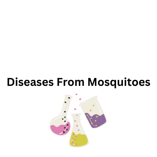 Diseases From Mosquitoes